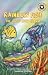 Rainbow Fish: The Good Luck Charm (Festival Readers)