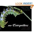 100 Caterpillars: Portraits from the Tropical Forests of Costa Rica by  Jeffrey C. Miller, Daniel H. Janzen, and Winifred Hallwachs