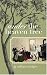 Search : Under the Heaven Tree