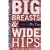 Big Breasts & Wide Hips: A Novel