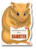 Getting to Know Your Hamster