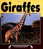 Giraffes (Nature Watch)