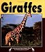 Books : Giraffes (Nature Watch)