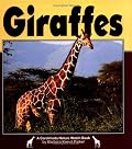 Giraffes (Nature Watch)