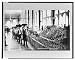 Historic Print (L): [Interior of food market, Zacatecas, Mexico] / Waite photo.