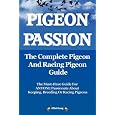 racing pigeons Pigeon Passion. racing pigeons Pigeon Passion.