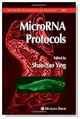 MicroRNA Protocols (Methods in Molecular Biology)