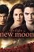 The Twilight Saga: New Moon