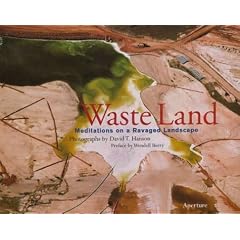 Waste Land: Meditations an a Ravaged Landscape