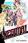 Negima!: Magister Negi Magi, Volume 12