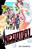 Negima!: Magister Negi Magi, Volume 12