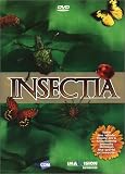Insectia