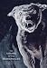Third Party New : The Hound of the Baskervilles