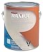 Ramuc Acrylic Deck Coat & Skid-Tex Non Skid Additive
