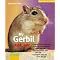 Gerbil Necesities