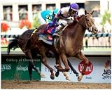 2012 Kentucky Derby Champion Ill Have Another-8x10 Photograph