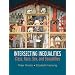 Intersecting Inequalities: Class, Race, Sex and Sexualities