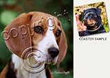Beagle Dog Drink Coasters