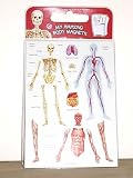  : My Amazing Body Fridge Magnets