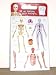 Kitchen & Housewares : My Amazing Body Fridge Magnets