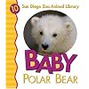 Baby Polar Bear (San Diego Zoo Animal Library)