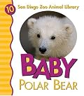 Baby Polar Bear (San Diego Zoo Animal Library)
