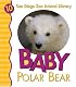 Baby Polar Bear (San Diego Zoo Animal Library)