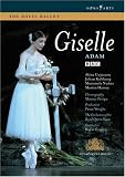 Adam - Giselle (Cojocaru, Royal Ballet, Gruzin) [DVD] [2006] [NTSC]
