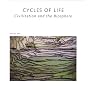 Cycles of Life: Civilization and the Biosphere (Scientific American Library)
