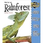 What on Earth?: Life In A Rain Forest (What on Earth?: It's Alive!) by Kathryn Senior