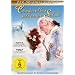 Cinderellas silberner Schuh
