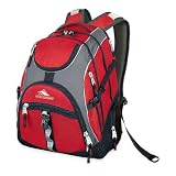 High Sierra Access Laptop Backpack