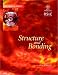 Structure and Bonding (Basic Concepts In Chemistry)