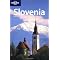 Essential Slovenia