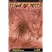 Flame of Recca, Vol. 14 (v. 14)