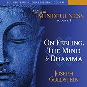 Abiding in Mindfulness, Volume 2: On Feeling, the Mind, and Dhamma | [Joseph Goldstein]