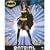 Licensed Adult Batgirl Sexy Fancy Dress Costume Medium