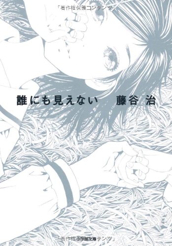 誰にも見えない (小学館文庫)