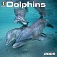 1 with Nature: Dolphins 2009 Calendar