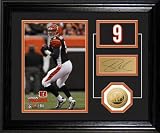 Highland Mint NFL Cincinnati Bengals Carson Palmer Player Pride Desk Top Photomint