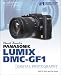 David Busch's Panasonic Lumix DMC-GF1 Guide to Digital Photography David Busch's Panasonic Lumix DMC-GF1 Guide to Digital Photography