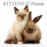 2011 Kittens & Friends Calendar