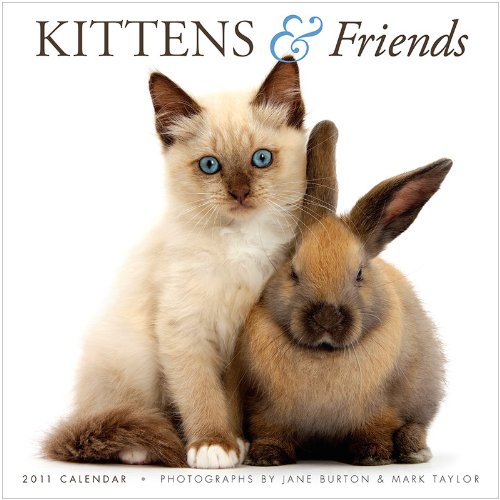 2011 Kittens & Friends Calendar