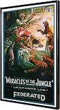 Miracles of the Jungle 11x17 Framed Poster