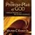 The Promise-Plan of God: A Biblical Theology of the Old and New Testaments