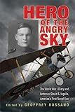 Hero of the Angry Sky: The World War I Diary and Letters of David S.Ingalls, America's First Naval Ace