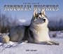 For The Love Of Siberian Huskies 2005 Calendar