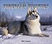 For The Love Of Siberian Huskies 2005 Calendar