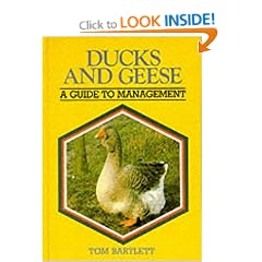Ducks and Geese: Guide to Management