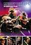 Muddy Waters - Live at the Chicago Blues Festival